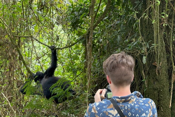 1 Day Gorilla Tracking Trip, Bwindi Impenetrable National Park