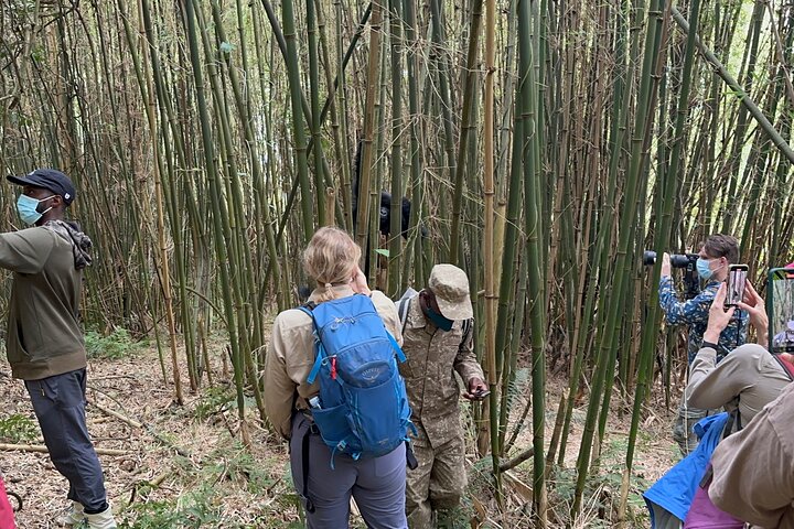 1 Day Gorilla Tracking Trip, Bwindi Impenetrable National Park