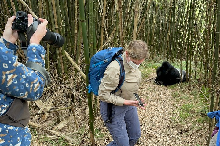 1 Day Gorilla Tracking Trip, Bwindi Impenetrable National Park