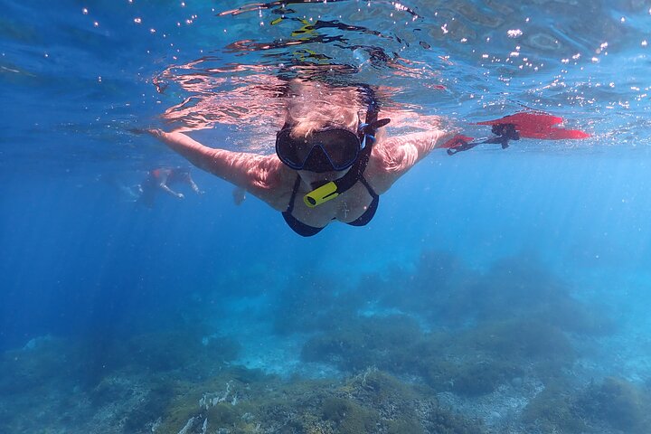 Klein Bonaire Marine Park Snorkeling Excursion