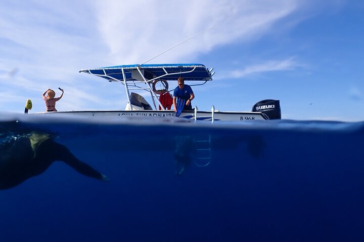 Klein Bonaire Marine Park Snorkeling Excursion