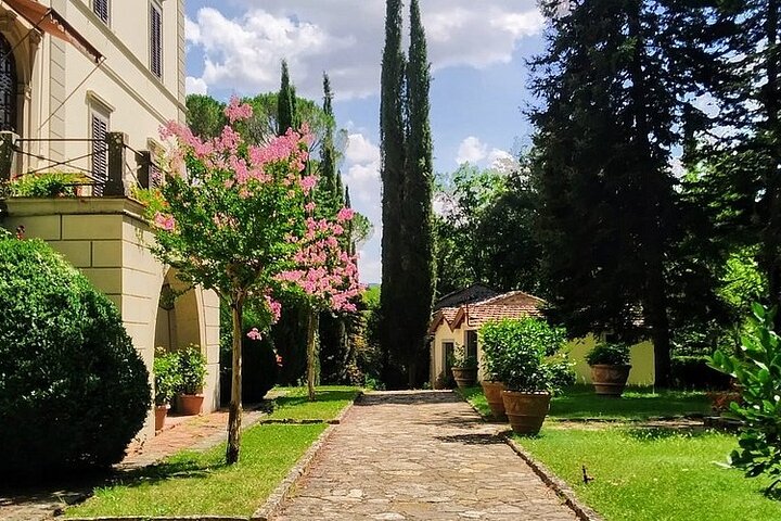 Radda in Chianti: Wine Tasting, Cellar Tour & Tuscan Lunch