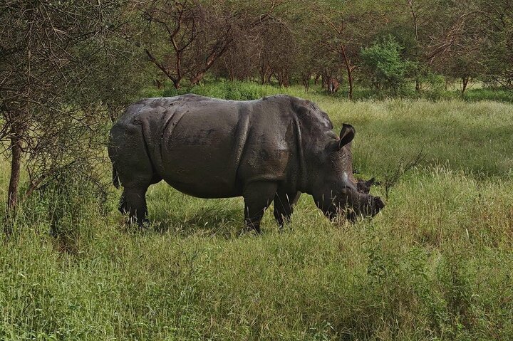 Discover Bandia Safari and the Pink Lake 2 Participants Minimum