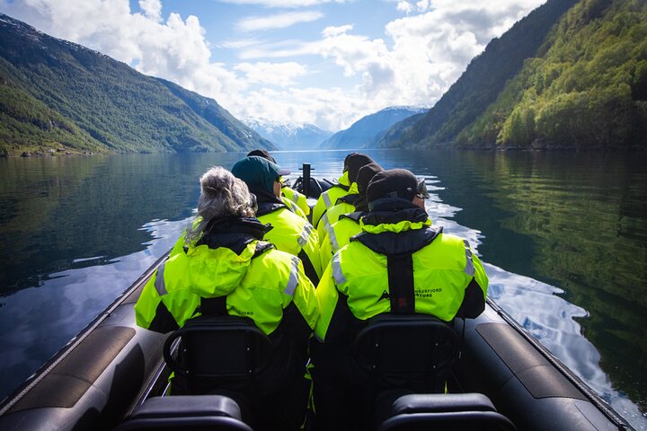 Hardangerfjord Ultimate RIB Safari from Ulvik