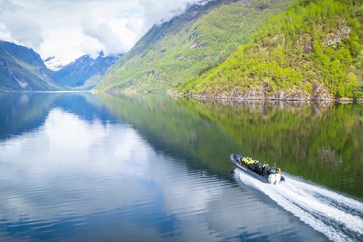 Hardangerfjord Ultimate RIB Safari from Ulvik