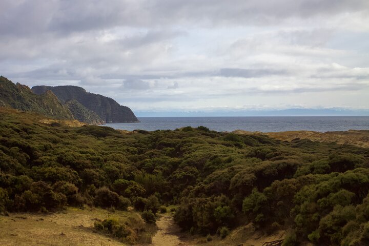 Half Island Scenic Helicopter Flight of Stewart Island