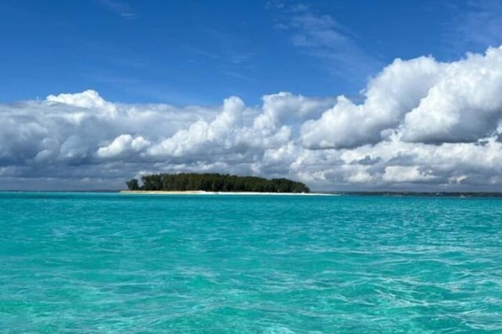 Full day: Snorkeling Dolphin Aquarium Turtles Sunset Kendwa Beach