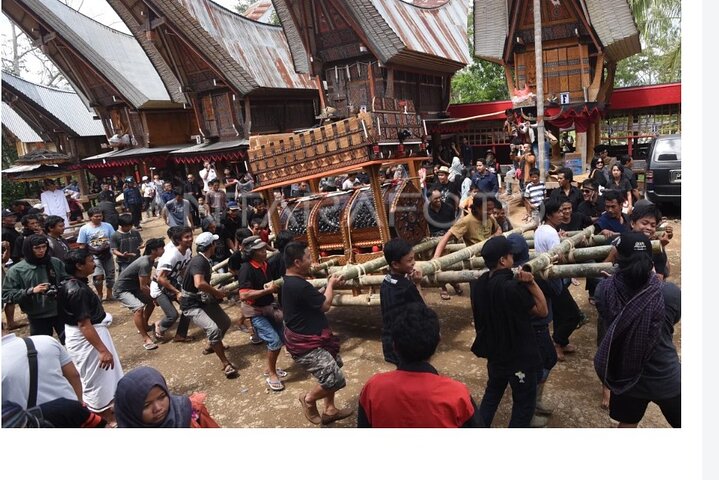 toraja fantastic tour 3 days/by sleeping bus/mini vanAC/min 2pax