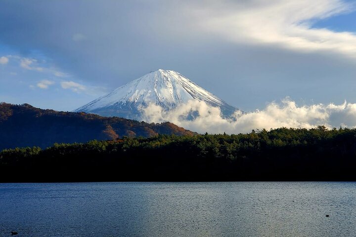 Mount Fuji Full-Day Private Tour from Yokohama Customizable