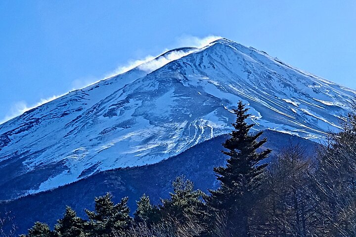 Mount Fuji Full-Day Private Tour from Yokohama Customizable