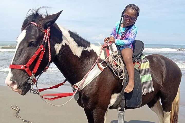 Horseback riding on the beaches of Cartagena