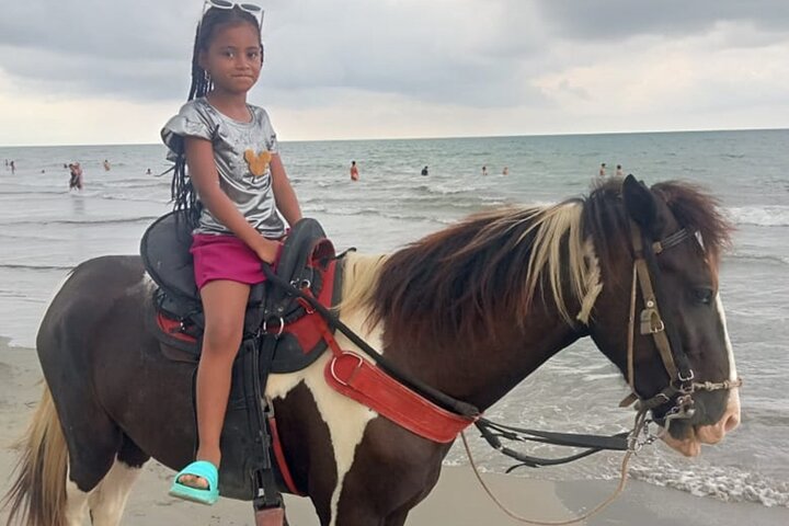 Horseback riding on the beaches of Cartagena