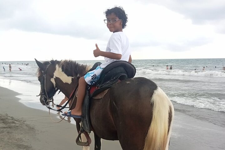 Horseback riding on the beaches of Cartagena