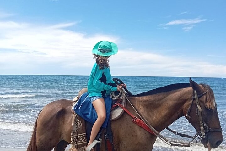 Horseback riding on the beaches of Cartagena