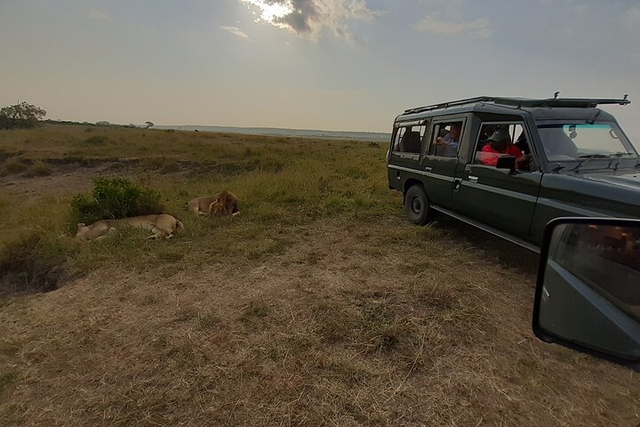 Private game drive safari Tour in Maasai Mara