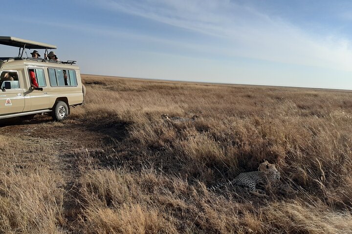 Private game drive safari Tour in Maasai Mara