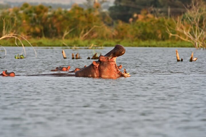 Day Trip to Hell's Gate National Park and Lake Naivasha