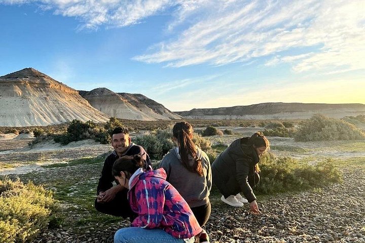 Tour South Circuit - Best of Puerto Madryn for CRUISES