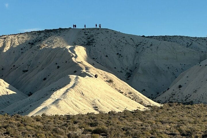 Tour South Circuit - Best of Puerto Madryn for CRUISES