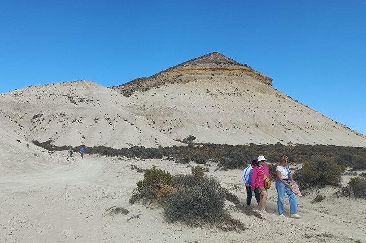 Tour South Circuit - Best of Puerto Madryn for CRUISES