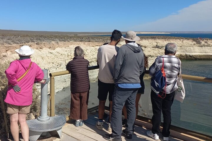 Tour South Circuit - Best of Puerto Madryn for CRUISES