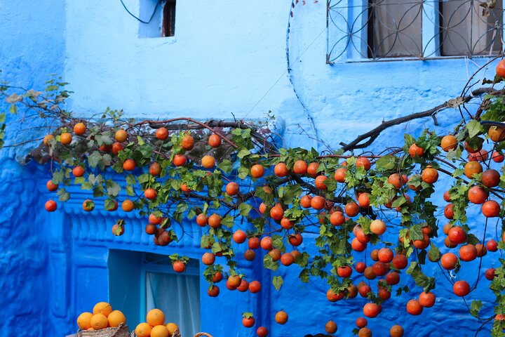 From Tangier: Chefchaouen Day Trip with Local Guide