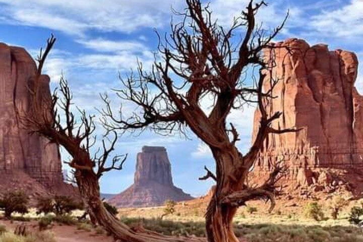 1.5 Hour Jeep Tour in Monument Valley