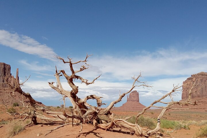 1.5 Hour Jeep Tour in Monument Valley