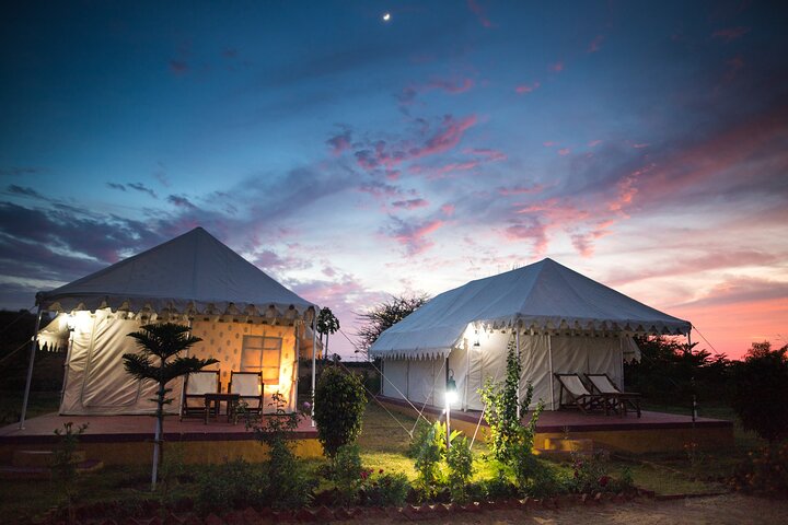 Camel Safari With Night Stay in Camp