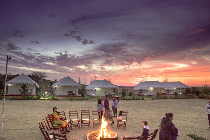 Camel Safari With Night Stay in Camp