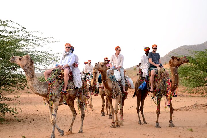 Camel Safari With Night Stay in Camp