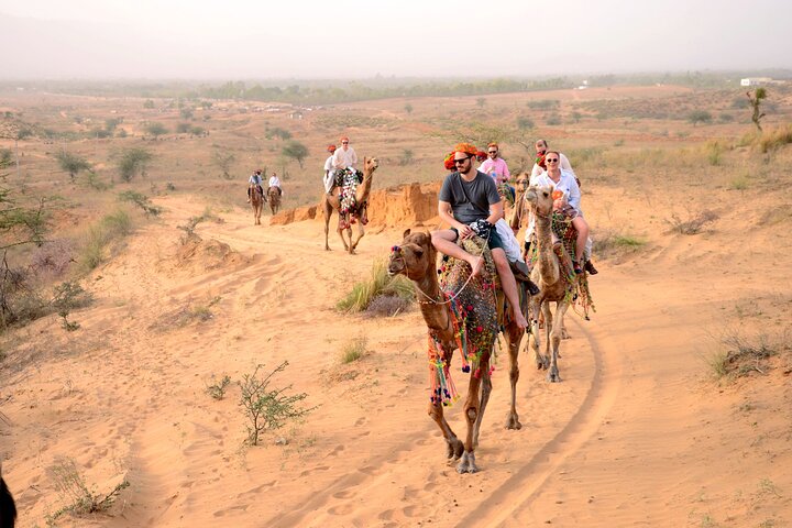 Camel Safari With Night Stay in Camp