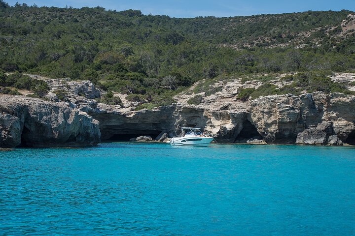 From Paphos: Blue Lagoon, Sea Caves & Aphrodite's Baths Day Trip