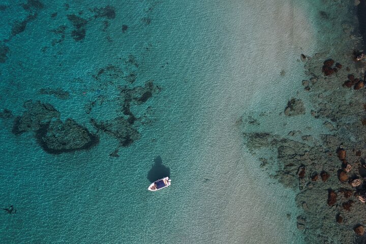 From Paphos: Blue Lagoon, Sea Caves & Aphrodite's Baths Day Trip