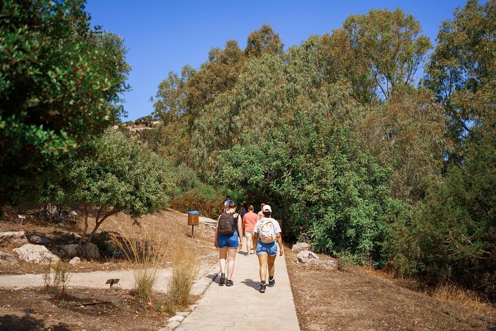 From Paphos: Blue Lagoon, Sea Caves & Aphrodite's Baths Day Trip