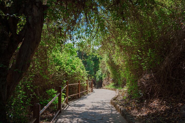 From Paphos: Blue Lagoon, Sea Caves & Aphrodite's Baths Day Trip