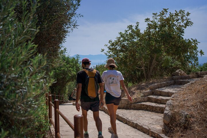 From Paphos: Blue Lagoon, Sea Caves & Aphrodite's Baths Day Trip