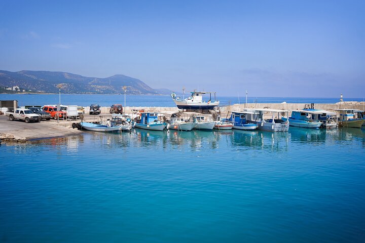 From Paphos: Blue Lagoon, Sea Caves & Aphrodite's Baths Day Trip