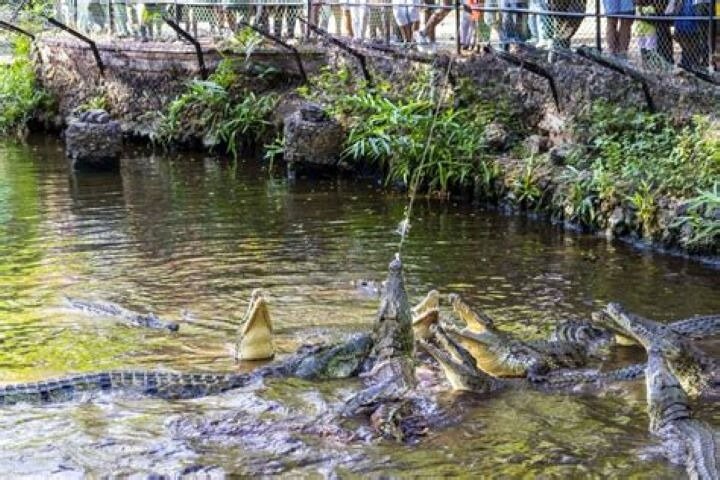 Full day tour in Mombasa