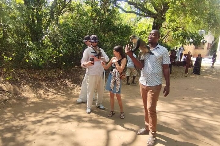Gede Ruins and Malindi Tour