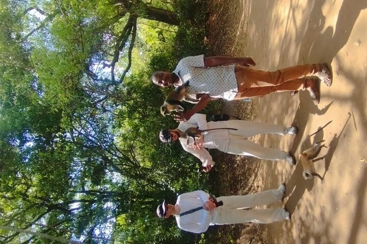 Gede Ruins and Malindi Tour