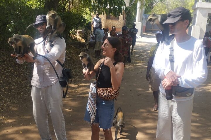 Gede Ruins and Malindi Tour