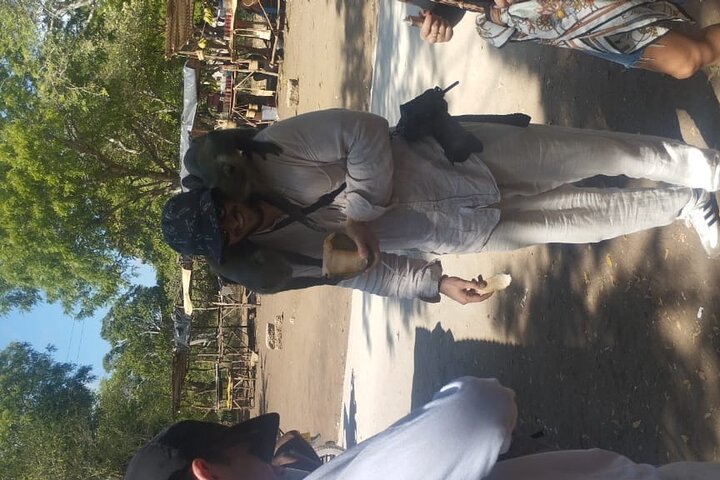 Gede Ruins and Malindi Tour