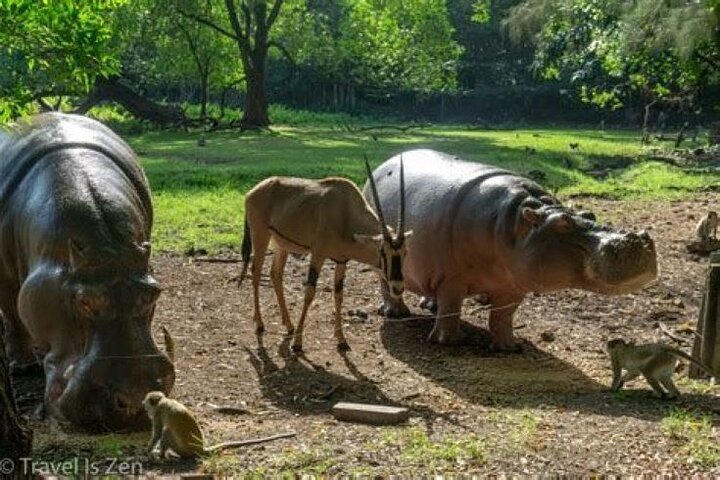 Full day tour in Mombasa