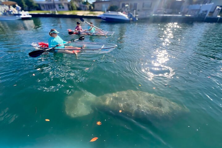 Crystal River: Three Sisters Manatee Clear Kayak Tour Free Photos