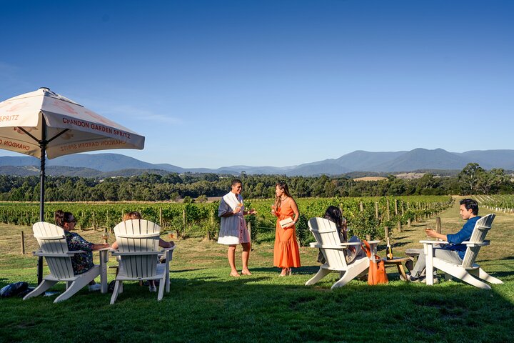 From Melbourne: Hop On Hop Off Yarra Valley - RED Route