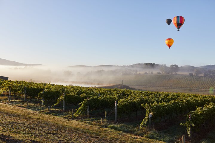 From Melbourne: Hop On Hop Off Yarra Valley - RED Route