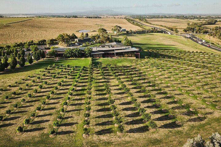 From Melbourne: Hop On Hop Off Yarra Valley - GREEN Route