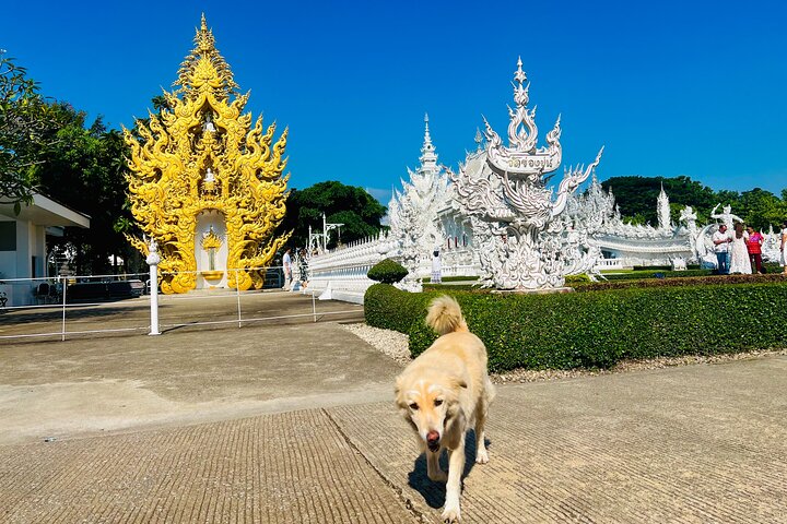 Chiang Rai Private Bespoke Sightseeing Tour