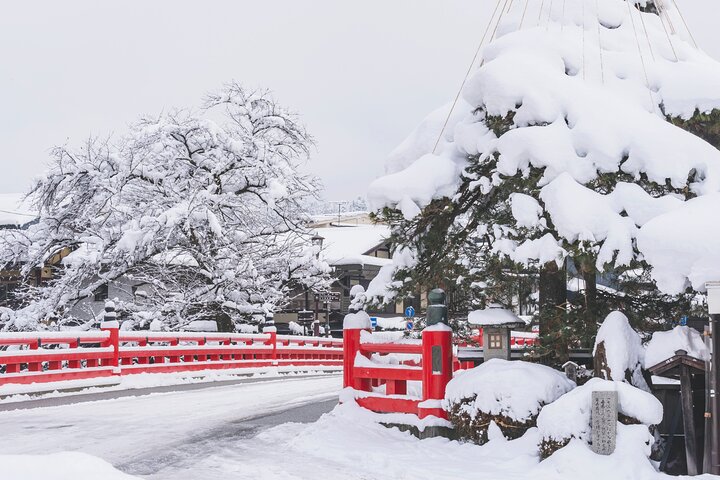 Gujo, Hida Takayama, and Shirakawa-go Day Tour from Nagoya